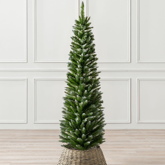 Pencil Christmas Tree with Frosted Spruce Pine