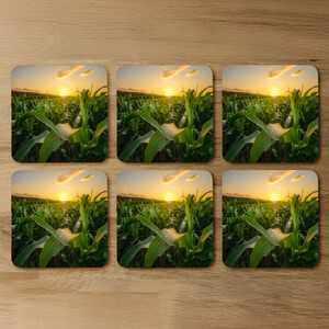 field at sunset Designer Coaster Set Designer Coaster Set
