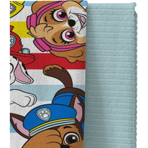 Paw Patrol Characters Towel