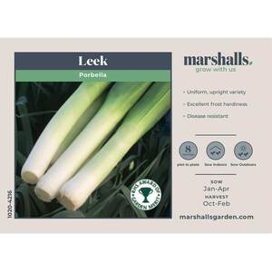 Marshalls Garden Porbella Leek Seeds - Hardy H5, RHS Award-winning, Rust-Resistant Winter Variety