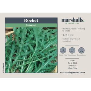 Marshalls Garden Rocket 'Scorpion' Seeds, 3,000 per pack, Eruca sativa