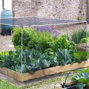 Marshalls Garden 4 x 4 ft Cage Starter Kit - 6ft Height