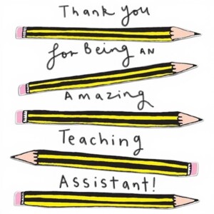 Amazing Teaching Assistant Greeting Card with Envelope