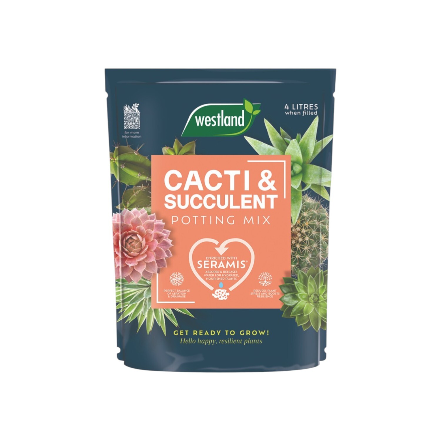 Cacti Potting