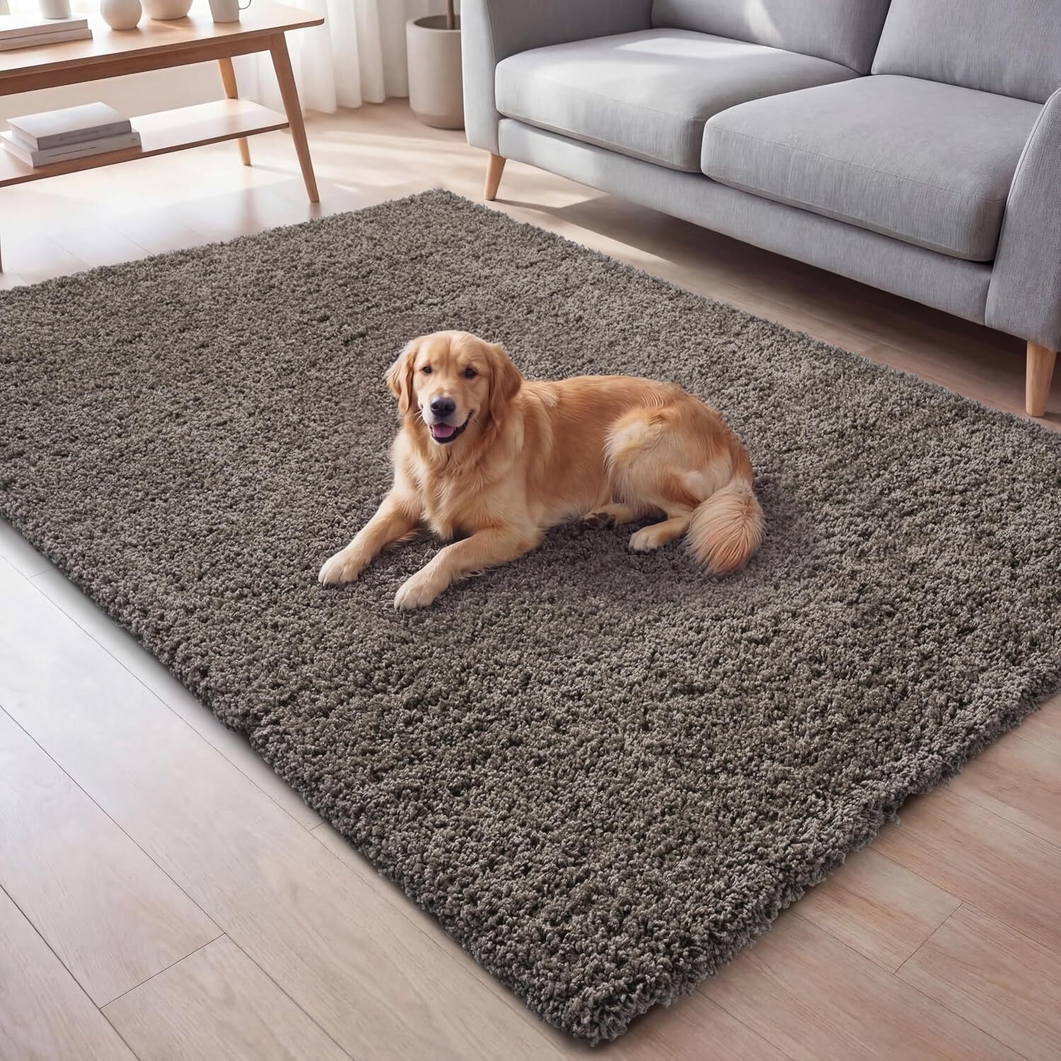 Ruglenza Galaxy Shaggy Rug - Taupe / 170Cm