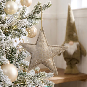 Sparkly Star Decoration