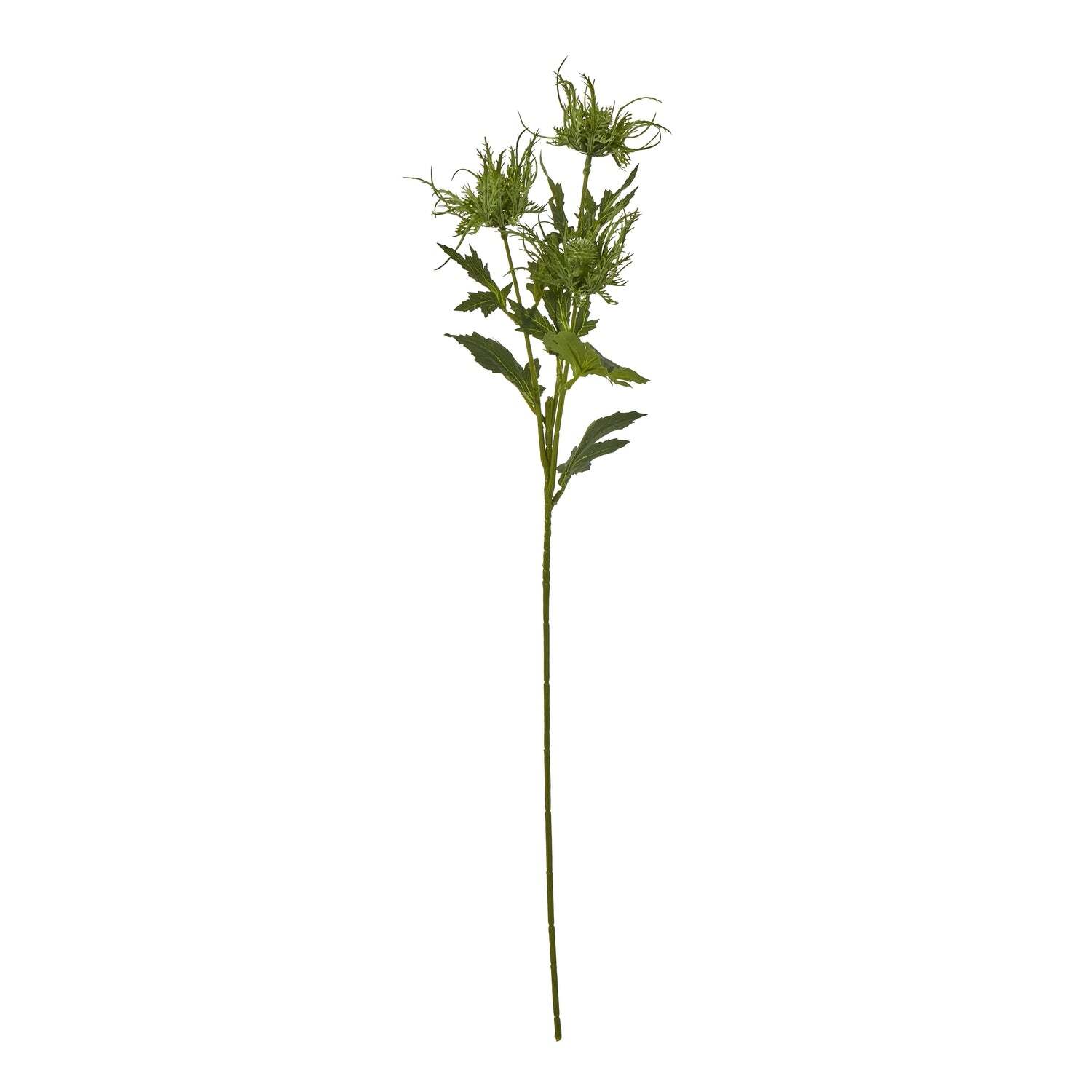 Sostter Green Sea Holly Artificial Stem Coastal Bloom - Image 3