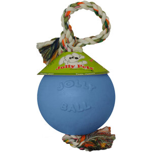 Romp-N-Roll Dog Ball
