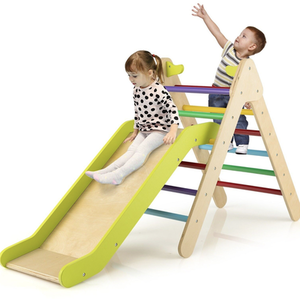 2-in-1 Eco Wood Climbing Frame