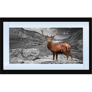 Stag in Highlands Glitter Liquid Wall Art Dcor