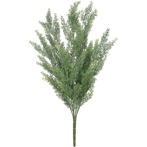 UV Indoor, Outdoor Everlast Helichrysum Plant