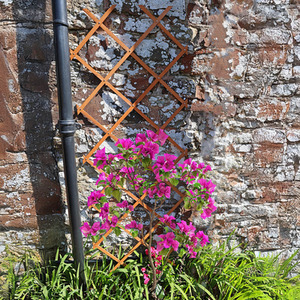5ft Wooden Expandable Trellis 9pcs