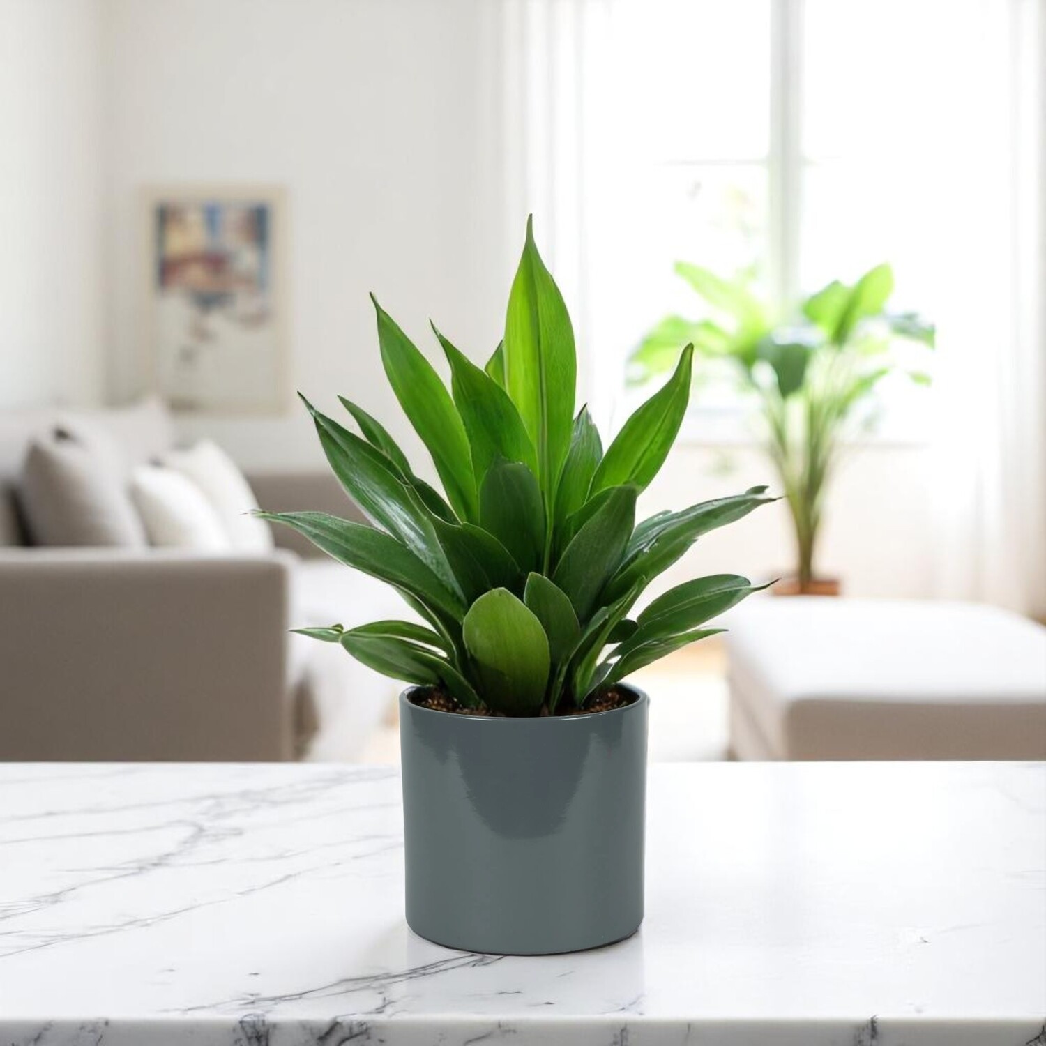 Contemporary Glossy Grey Ceramic Indoor Plant Pot