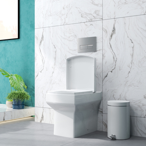 Back To Wall Toilet Soft Close Seat Pan WC 520*362*415