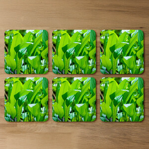 Green leaf background abstract of nature Designer Coaster Set