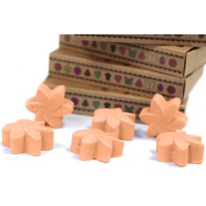 Box of 6 Tuberose Soy Wax Melts - Natural Fragrance