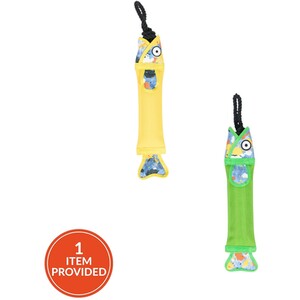 Fish with Rope Dog Toy