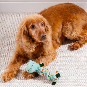 Dinosaur Soft Dog Toy