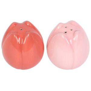 Tulip-Shaped Ceramic Salt Pepper Shakers Floral Kitchen Decor