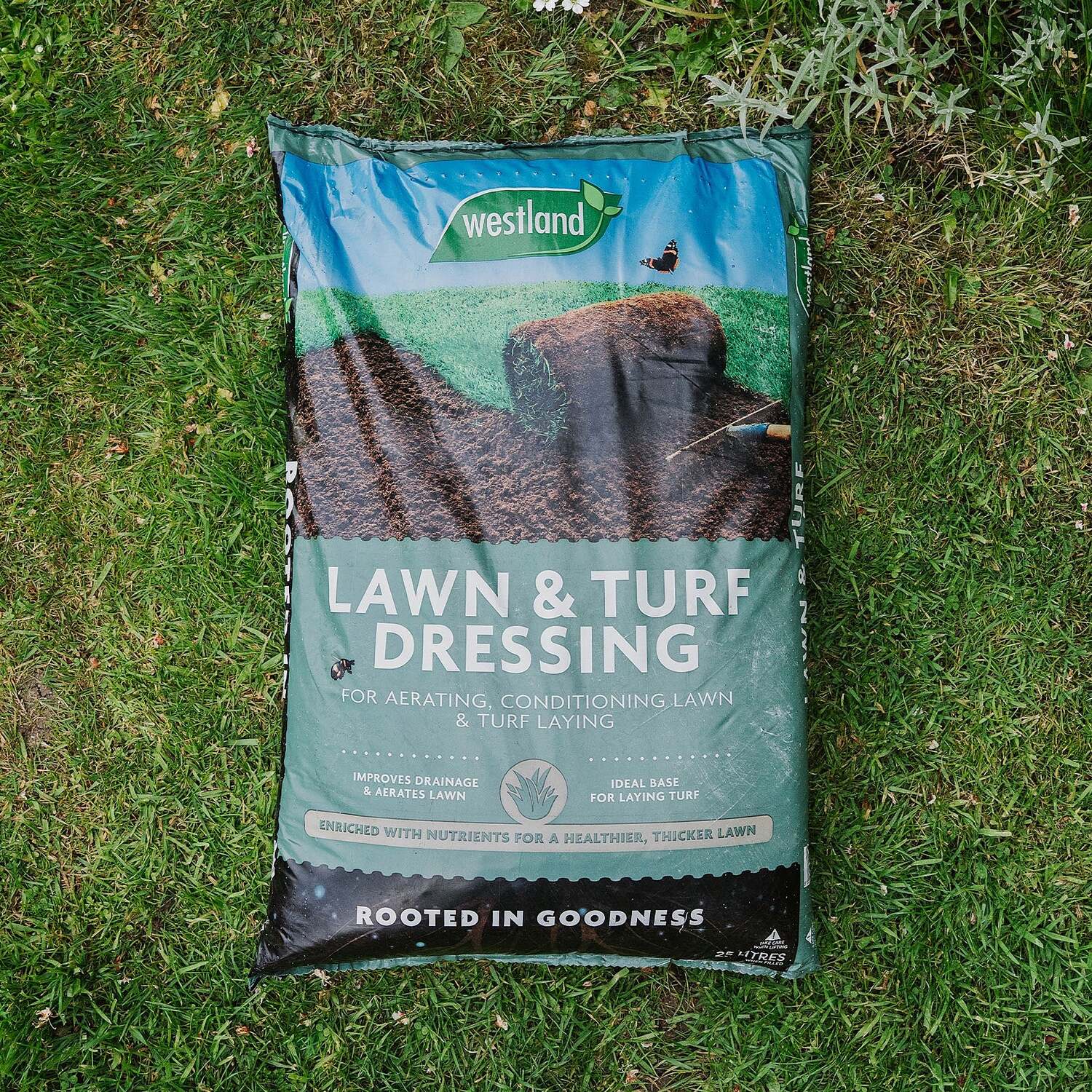 Westland Aftercut All In One Autumn Lawn Feed And Moss Killer - 100 G, Covers Up To 350 M² - Brown