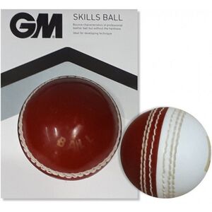 Gunn And Moore Childrens/Kids Skills Cricket Ball