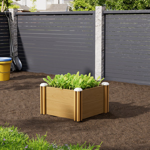  shot 15768299