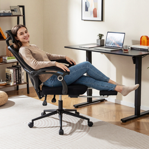 Mesh Computer Chair with 2D Headrest