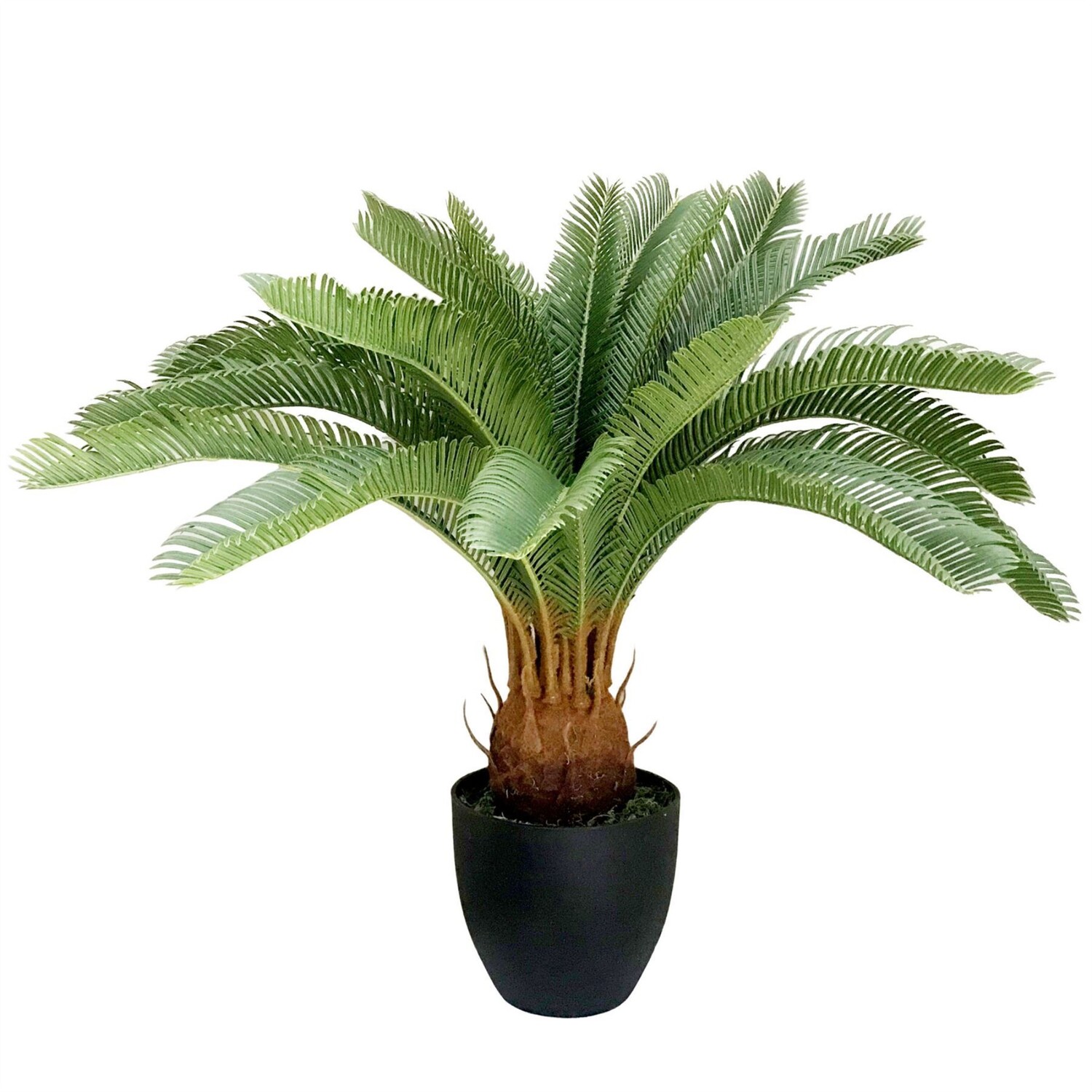 70cm Artificial Cycas Palm Plant - Green