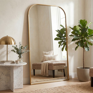 Contemporary Metal Mirror