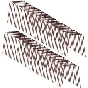 Groundcover staples