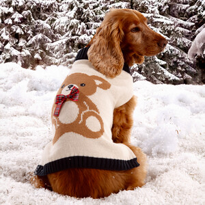 Teddy Pet Jumper