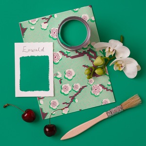  shot 908342
