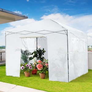 Garden Walk-in Greenhouse with 4 Windows