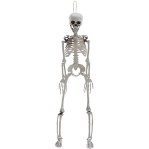 2.8FT Halloween Hanging Poseable Skeleton