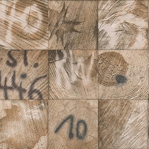  shot 6813105