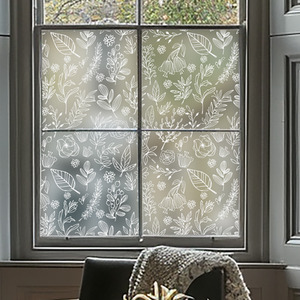 Agira Frosted Privacy Window Film
