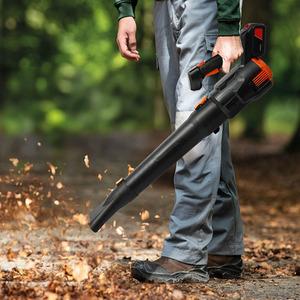 Cordless Handheld Leaf Blower with Battery and Charger
