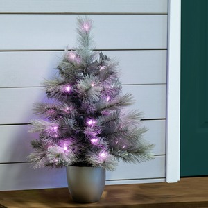The Pre-lit Potted Silver Majestic Pine Tree
