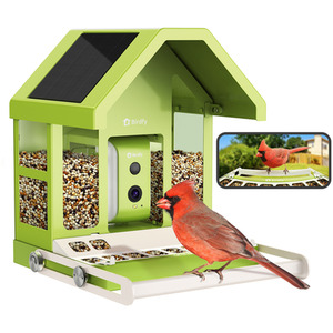 Birdfy Feeder Metal AI
