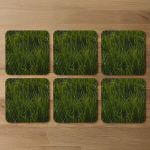Fresh green grass background, natural grass Designer Coaster Set
