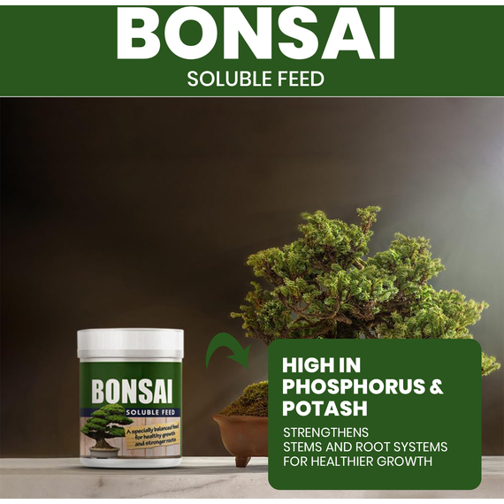 Bonsai Feed