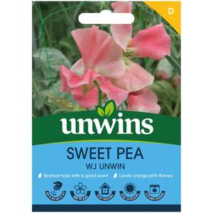 Sweet Pea Seeds 'WJ Unwin'