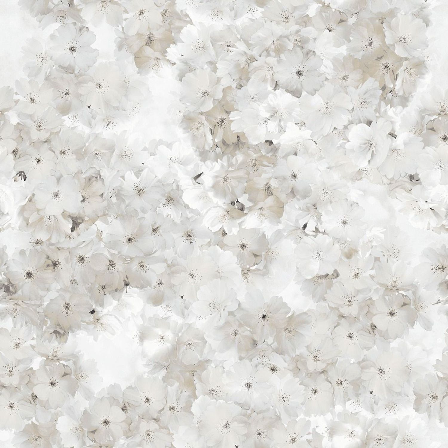Muriva Unisex Natural Apple Blossom Wallpaper In - Image 2