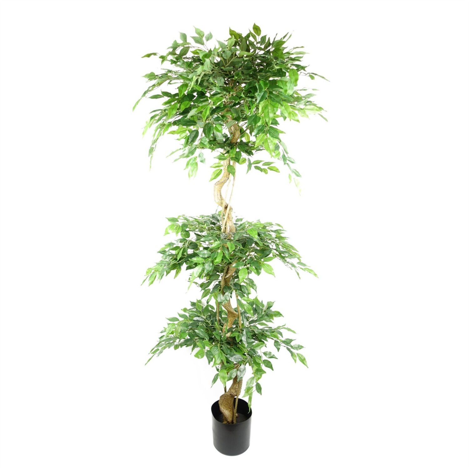 180cm Ficus Triple Ball Topiary Tree - Green