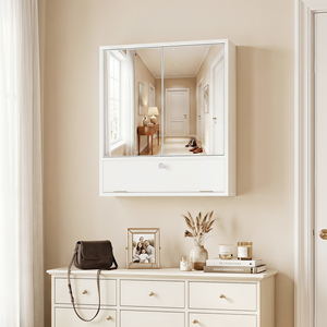 Modern Medicine Bathroom Wall Cabinet with Mirror