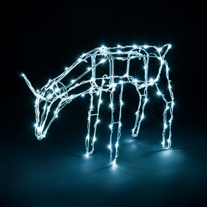  shot 6669604