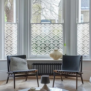 Agna Frosted Window Film