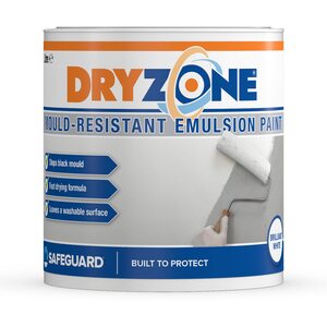 Dryzone Mould-Resistant Paint 1 Litre White