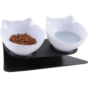 Tilted Cat Feeder with 2 Bowls