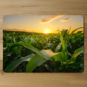field at sunset Designer Placemat Set Designer Placemat Set